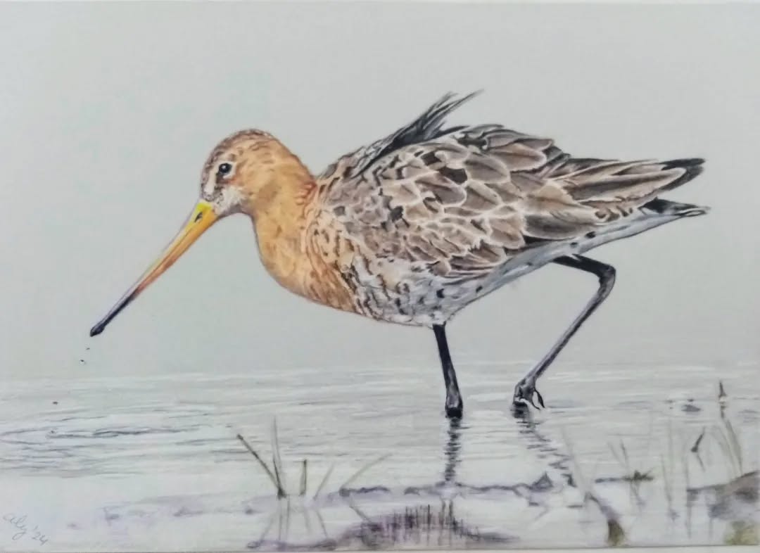 Grutto, portret in opdracht