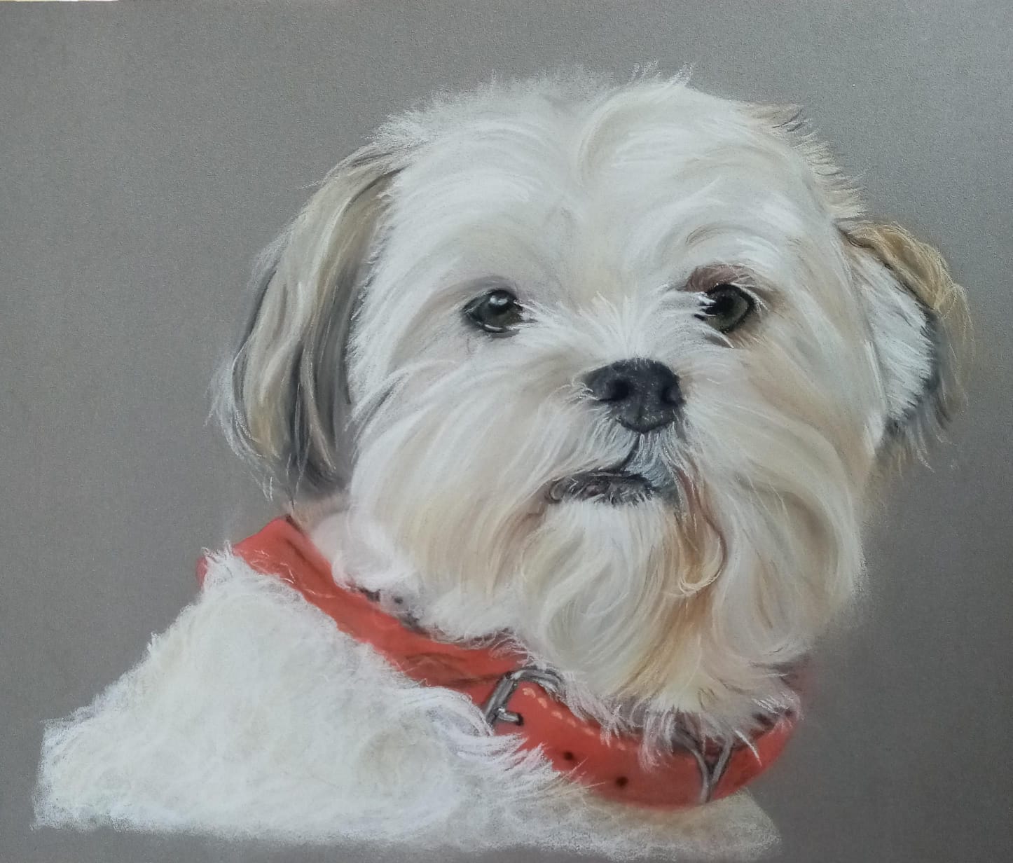 Hond, portret in opdracht