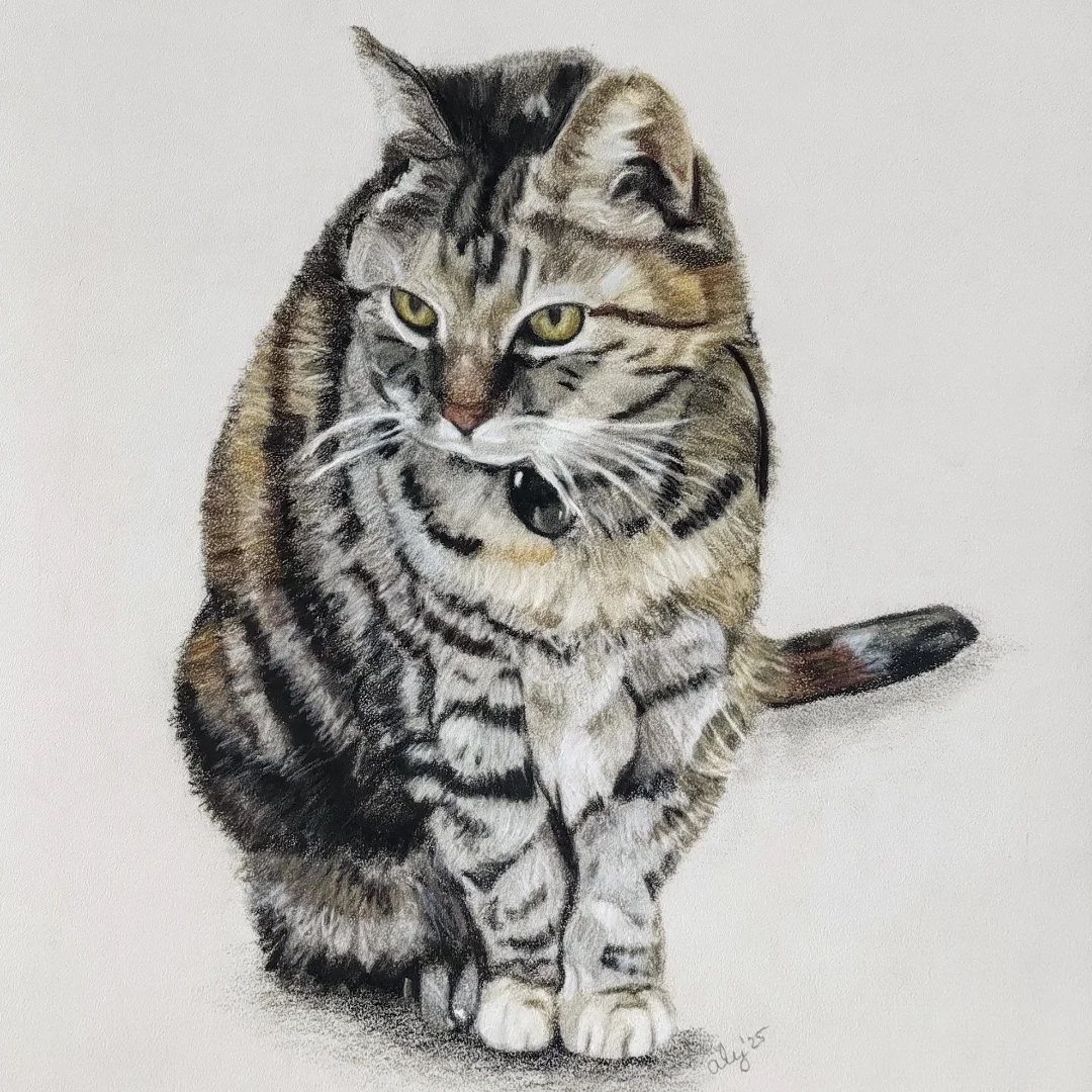 Kat, portret in opdracht