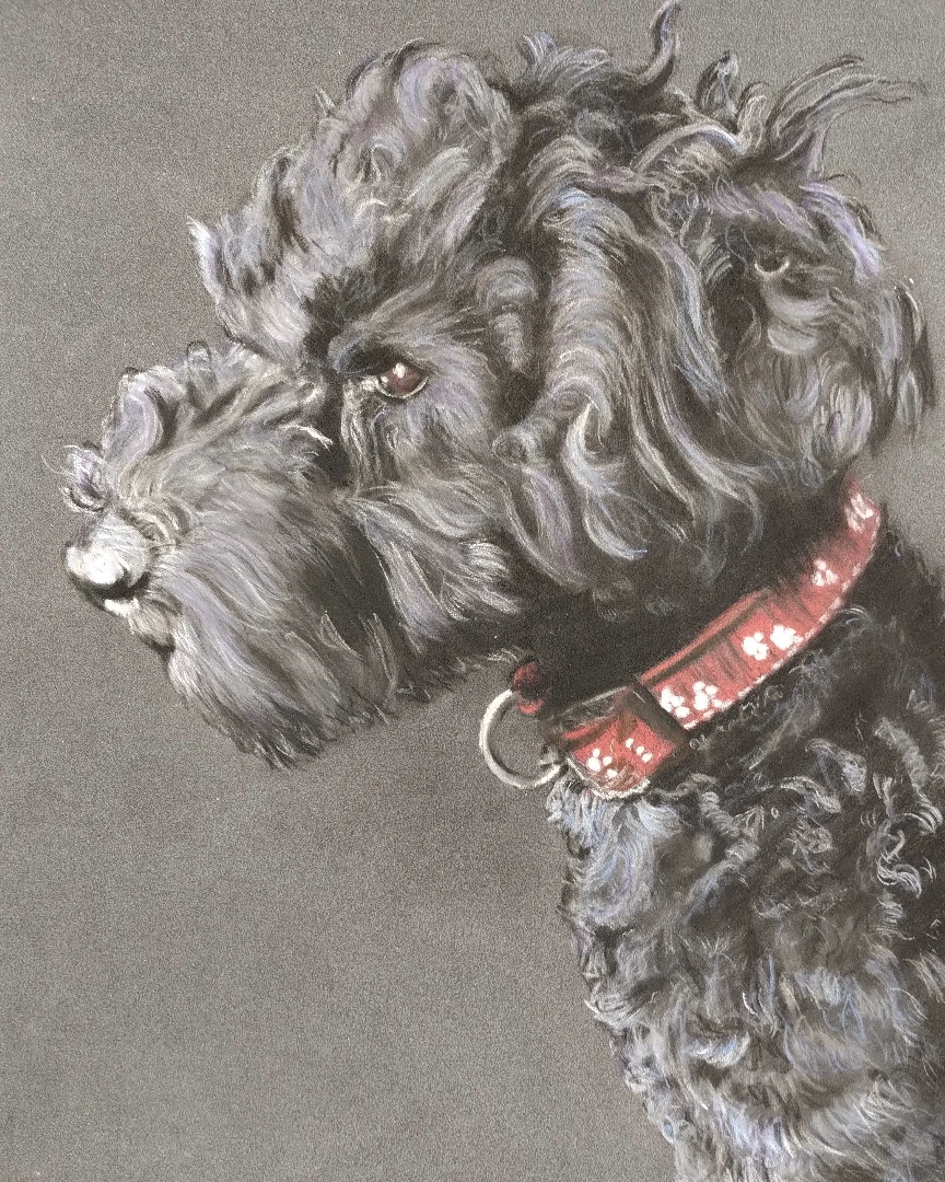 Poedel, portret in opdracht